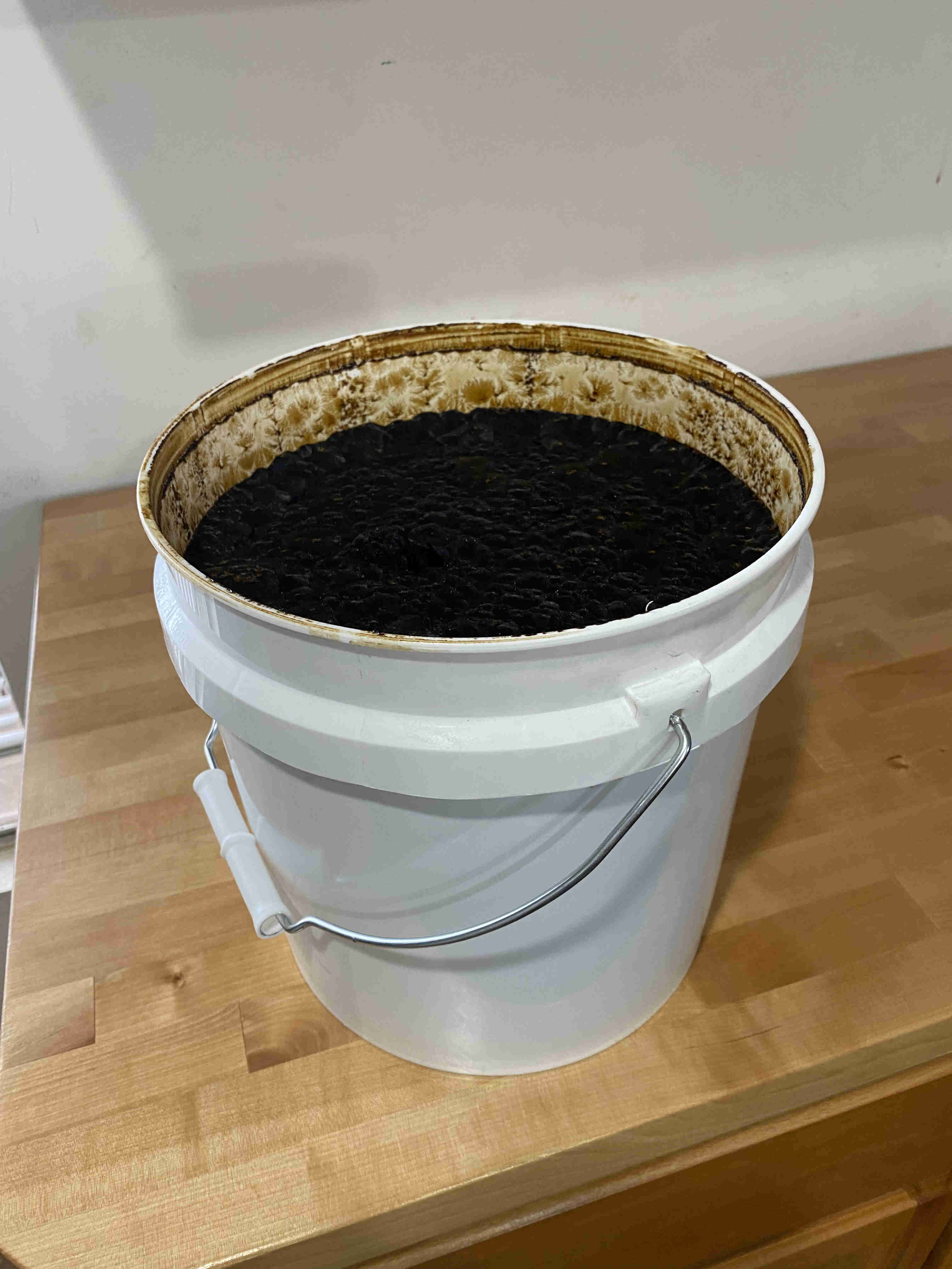 7 plus kilo bucket cbg extract